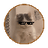 coin-img